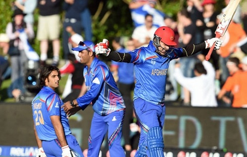 Afghanistan beat Scotland to win first cricket world cup match at Dunedin.