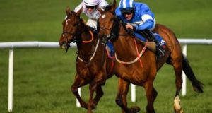 3 Horses die, 3 Jockeys in Hospital after big fall at Hong Kong race