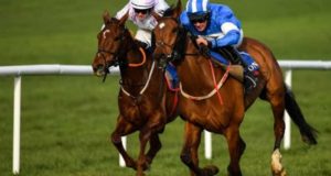 Upcoming Horse Racing Events 2020 — Which Ones to Pay Attention To?