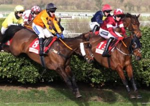 Cheltenham Festival horse racing