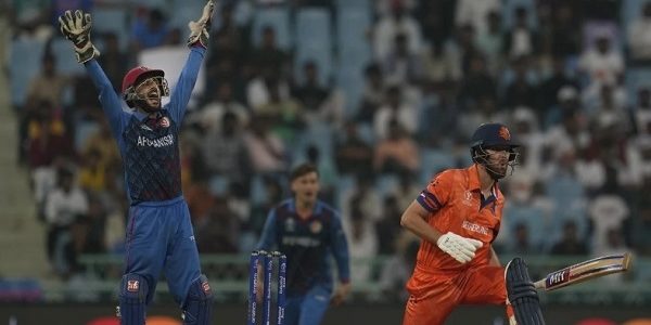 Afghanistan beat Netherlands in ICC world cup 2023